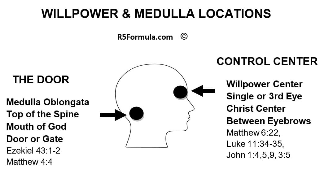 R5 Power Fasting Method